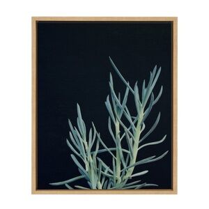 Kate & Laurel Succulent 16 F21Images 24-in H x 18-in W Botanical Print on Canvas